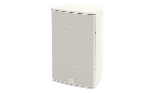 Martin Audio CDD10
